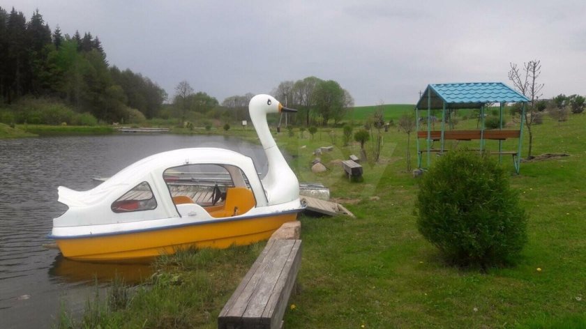 Катамаран белый лебедь