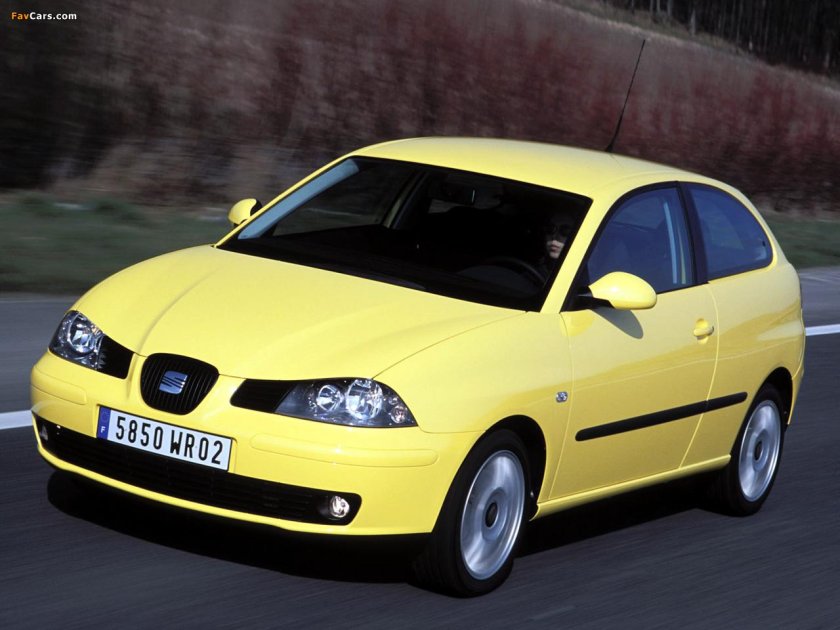 Seat Ibiza 2002