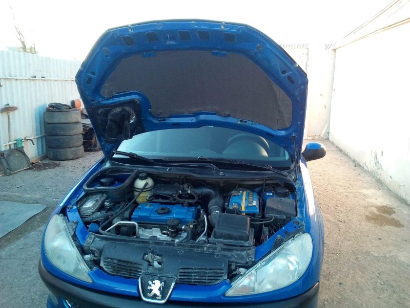 Пежо 206 открытый капот