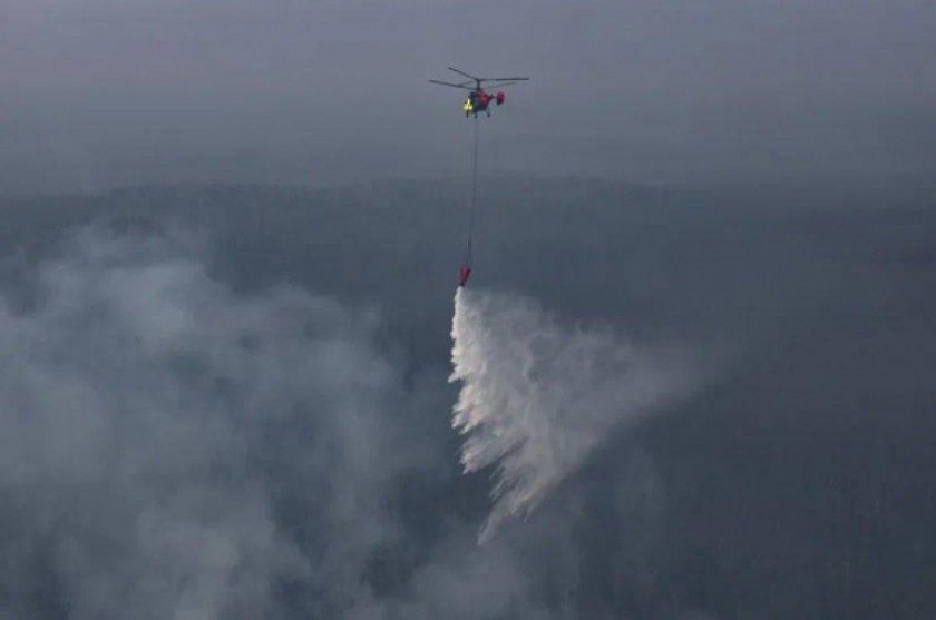 Лесной пожар фото