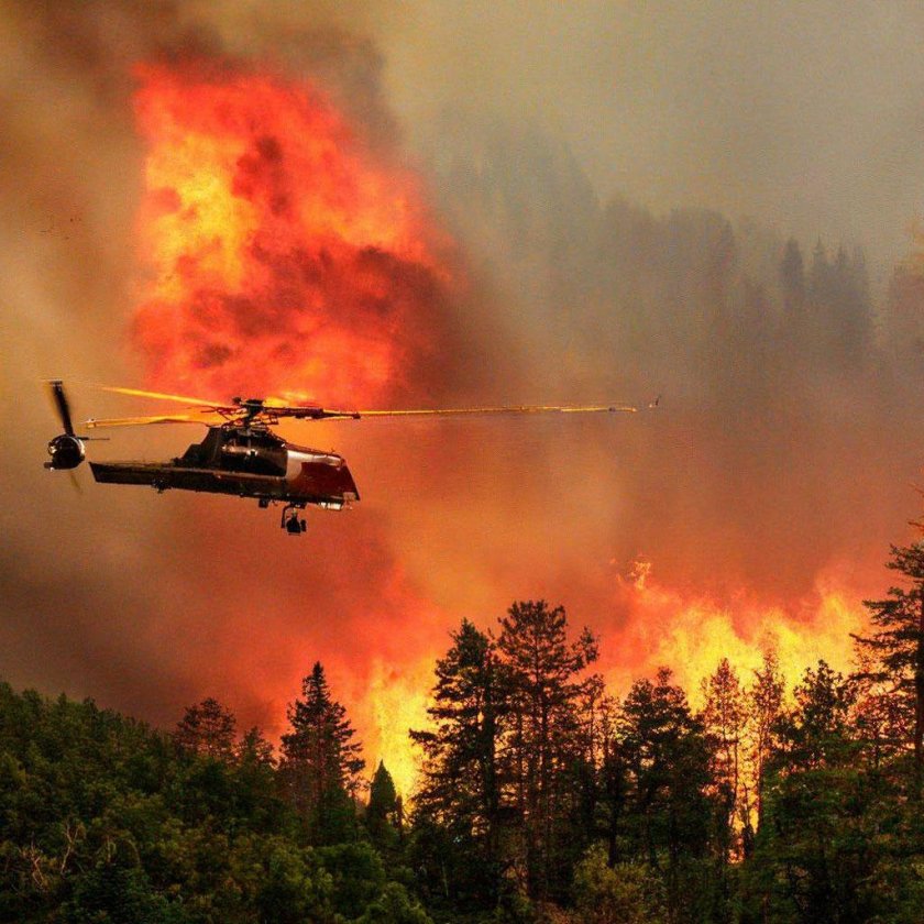 Лесной пожар тушение лесного пожара