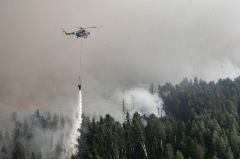 Лесной пожар Саров 2021