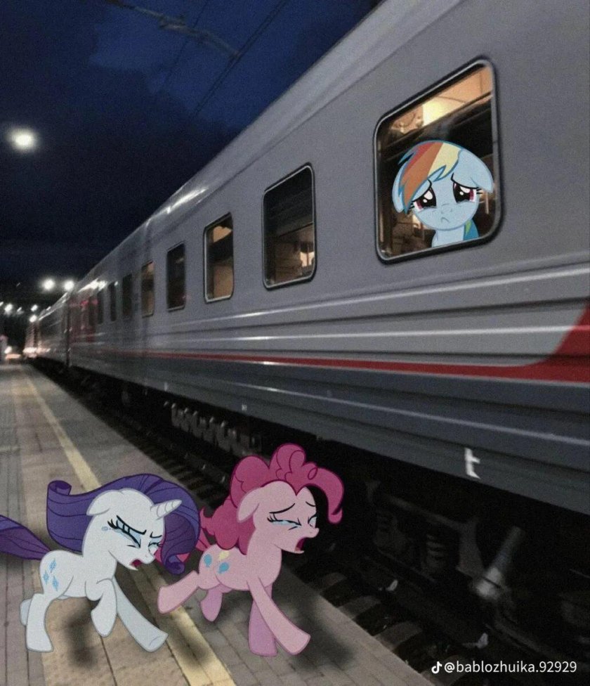 Поезд референс