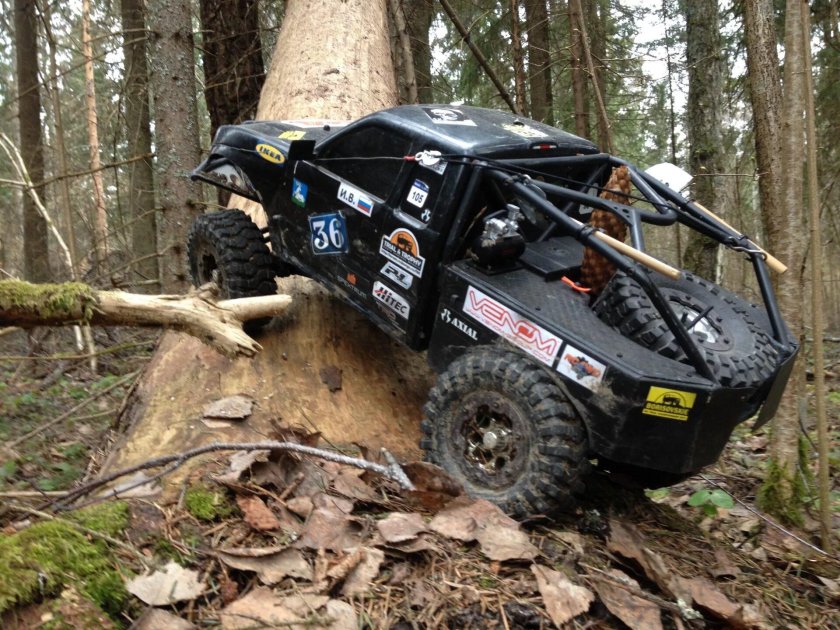 Трофи триал