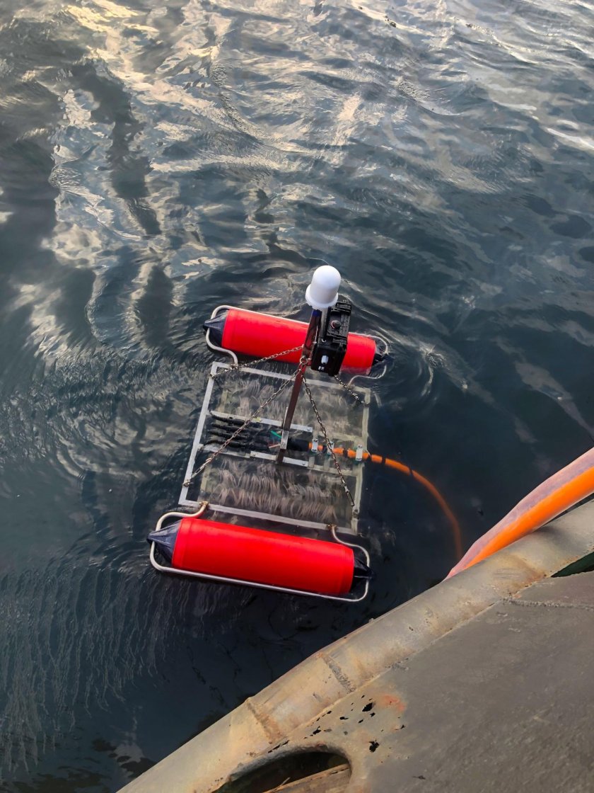 Геодевайс Технолоджис