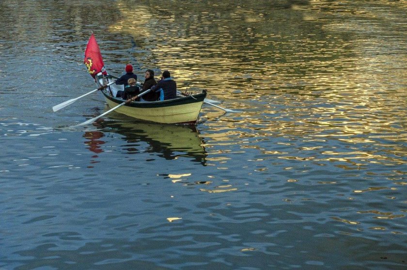 Весельные лодки фестиваль