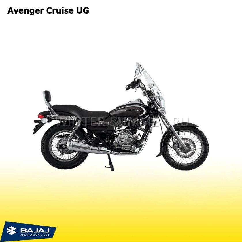 Баджадж Эвенджер 220