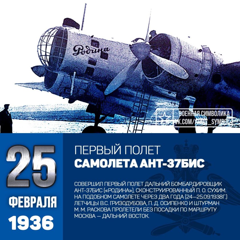 Самолет ант-37 бис Родина