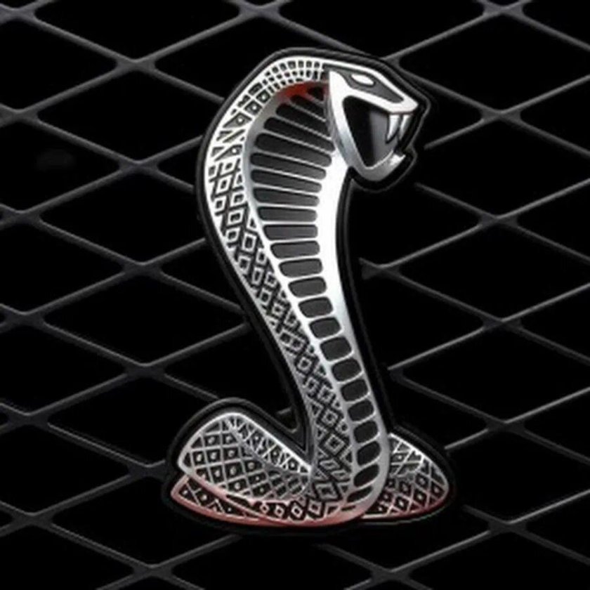 Змея на черном фоне