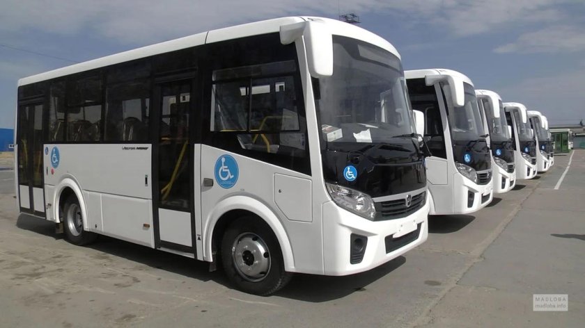 Новые автобусы паз