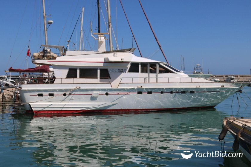 Катамаран моторный