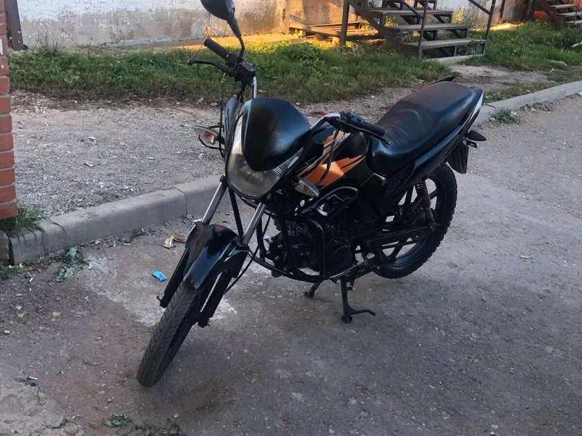 Alpha Sport 110 2013