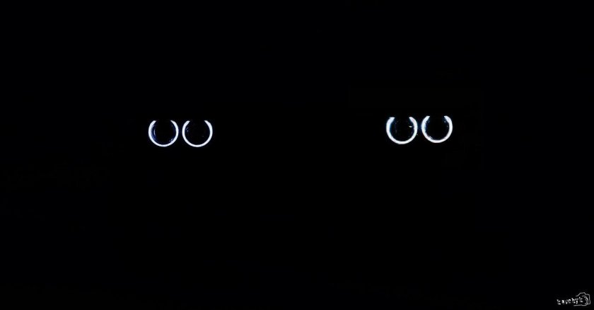 Ангельские глазки bmw