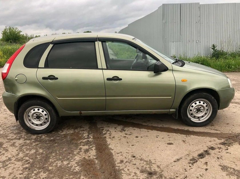 Калина универсал колумбийская зелень