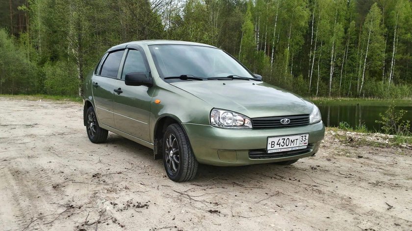 Колумбийская зелень 322 Калина