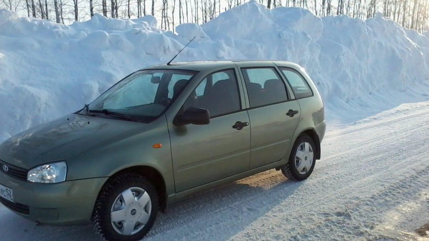 Калина универсал колумбийская зелень