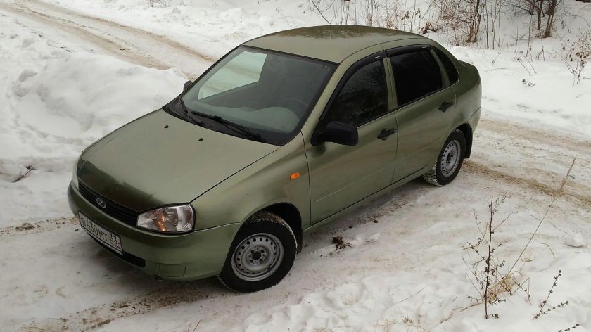 Калина универсал колумбийская зелень