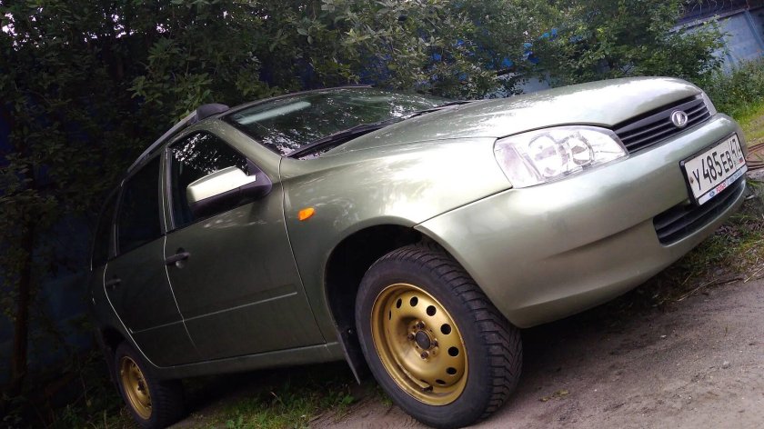 Калина универсал колумбийская зелень