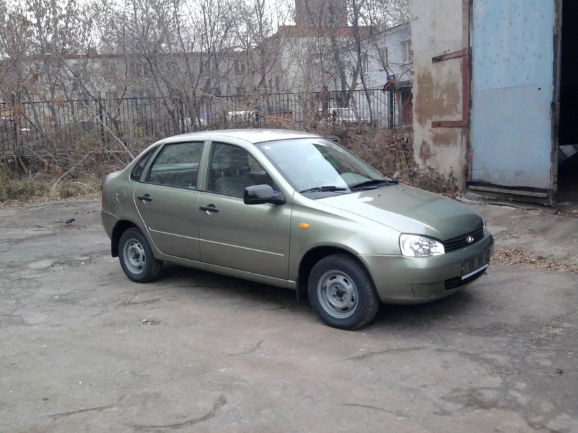 Калина универсал колумбийская зелень