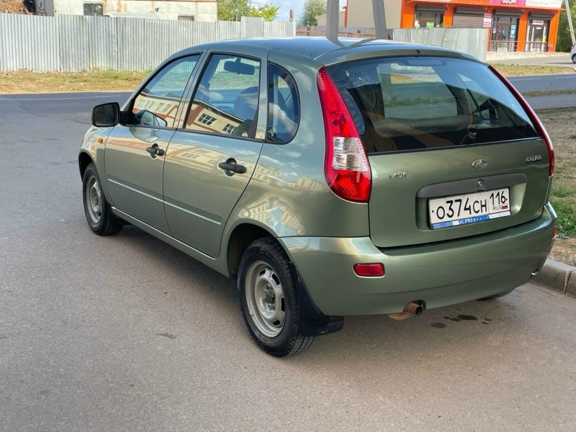 Калина 1 колумбийская зелень