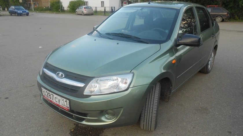 Колумбийская зелень 322 Калина