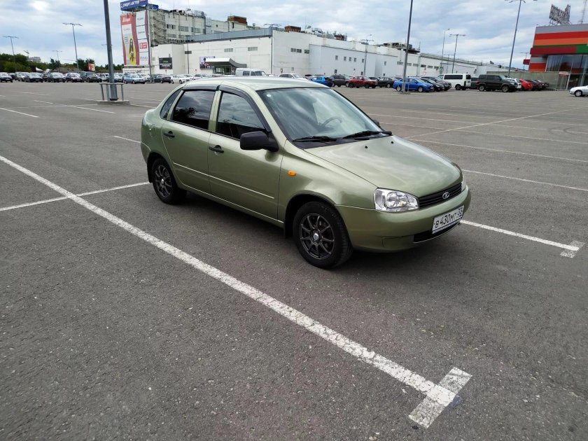 Колумбийская зелень 322 Калина