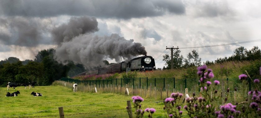 Поезд природа