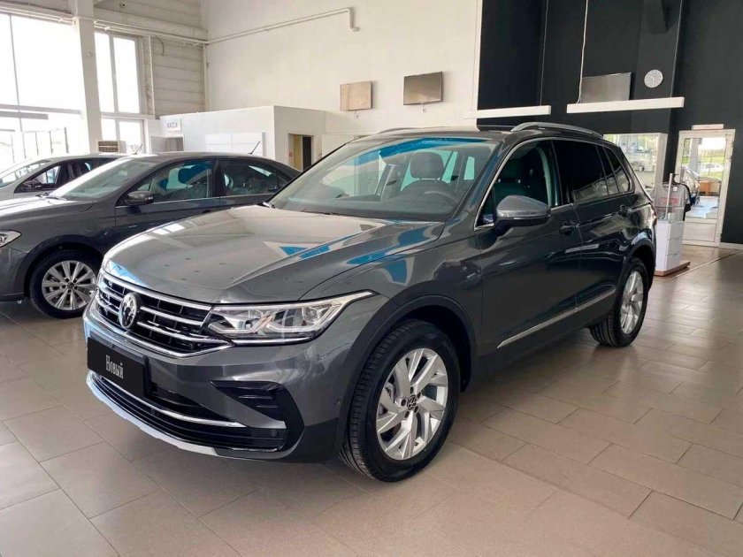 Тигуан серый