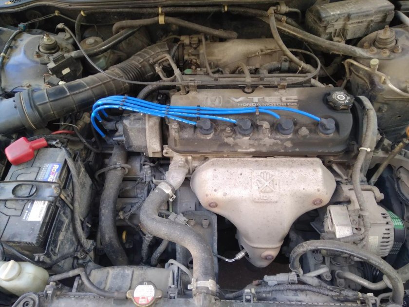 Бронепровода хонда торнео