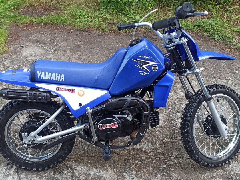 Yamaha pw80