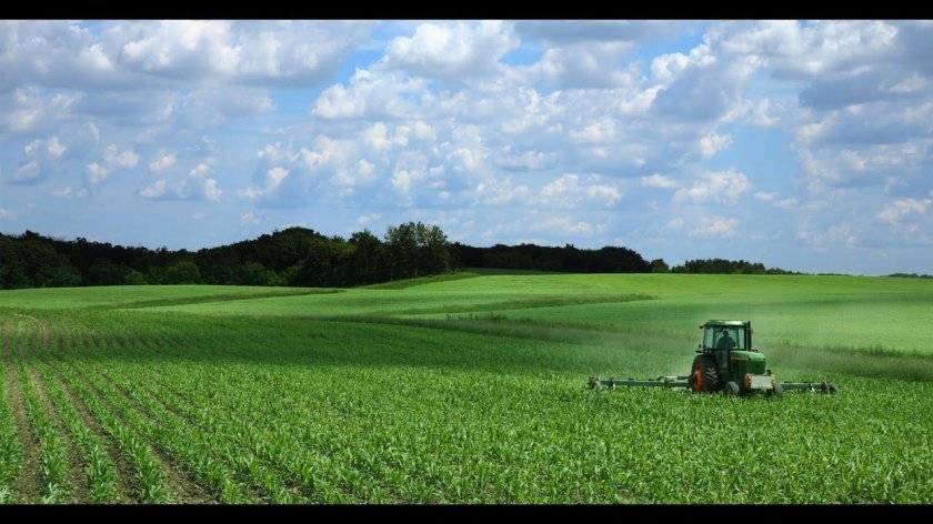 Поле сельское хозяйство