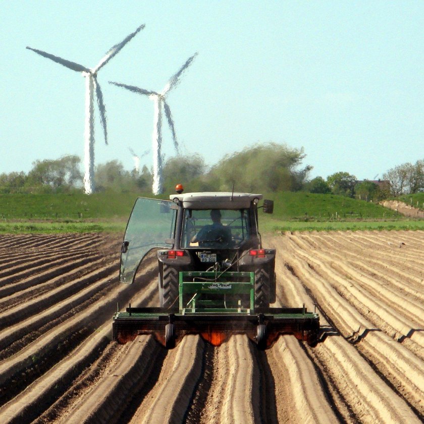 Поле картошки