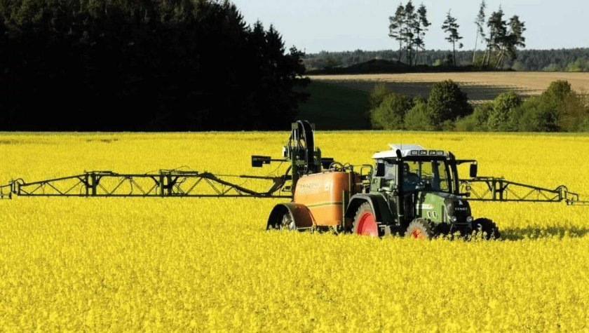 Рапс лауреат