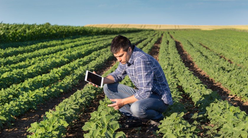 Агрономия картинки