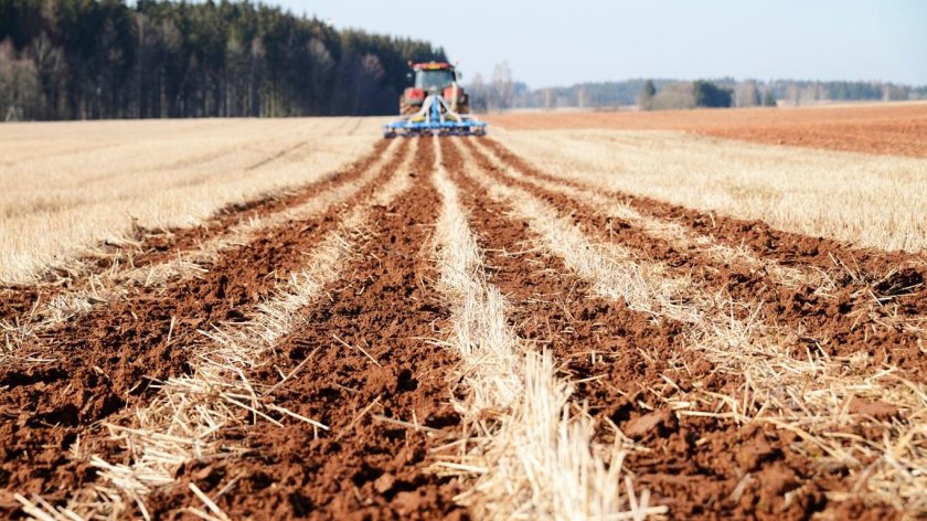 Технология стрип Тилл