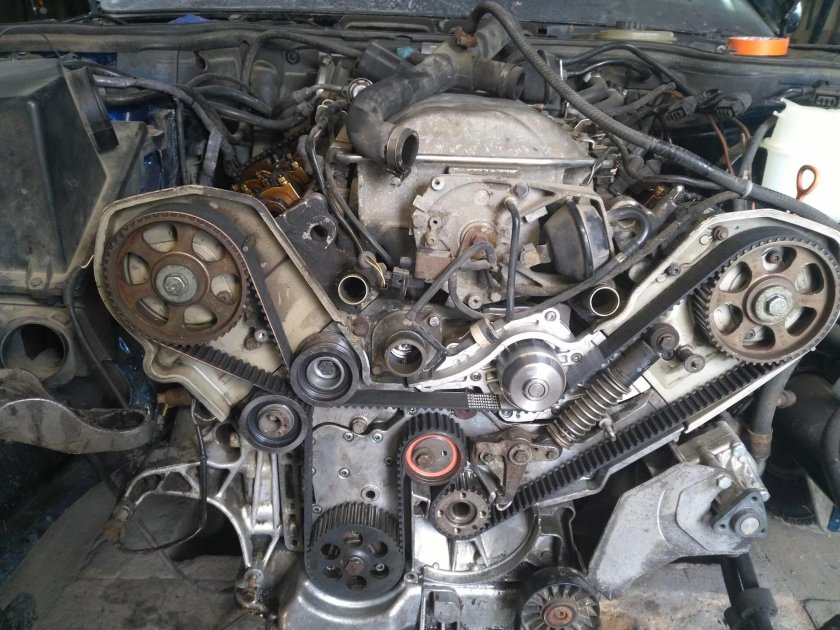 Ремень ГРМ Ауди а8 д2 4.2 abz