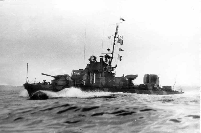 ПСКР Шмель проект 1204