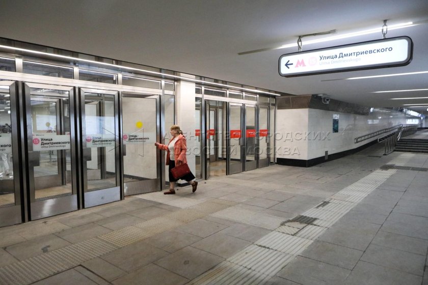 Станция метро Дмитриевского