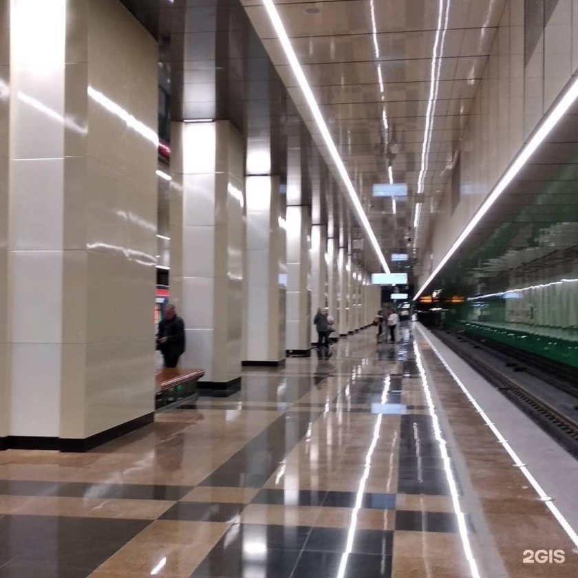 Станция улица Дмитриевского