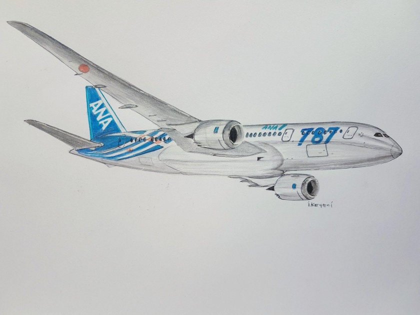 Шасси Боинг 787