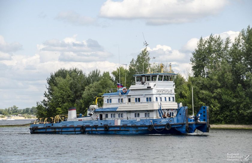 Толкач Волгарь