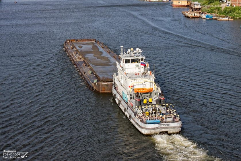 Толкач Волгарь