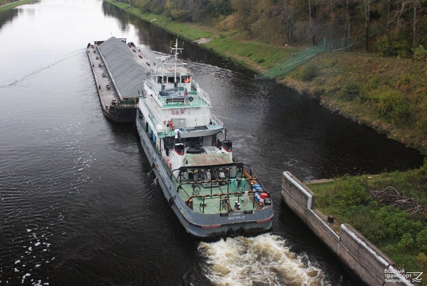 Толкач Волгарь