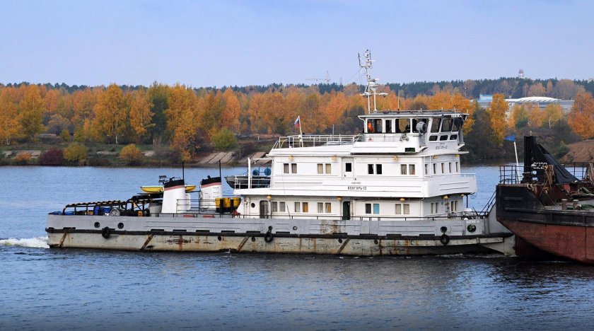 Толкач волгарь