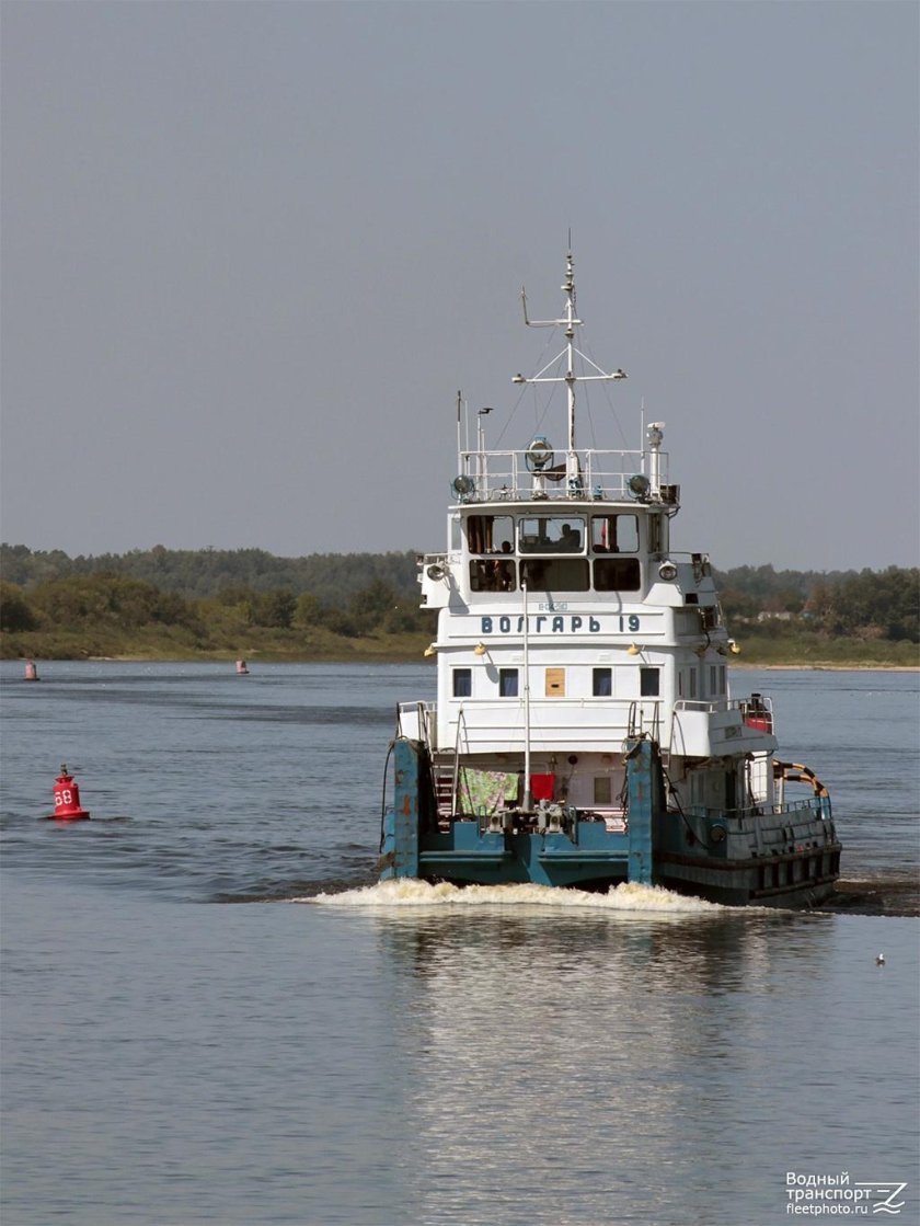 Толкач Волгарь