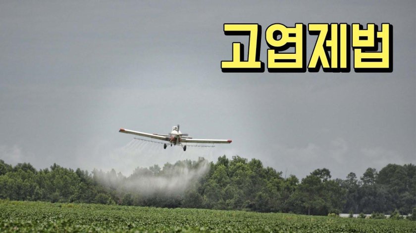 Ан-2 кукурузник обработка полей