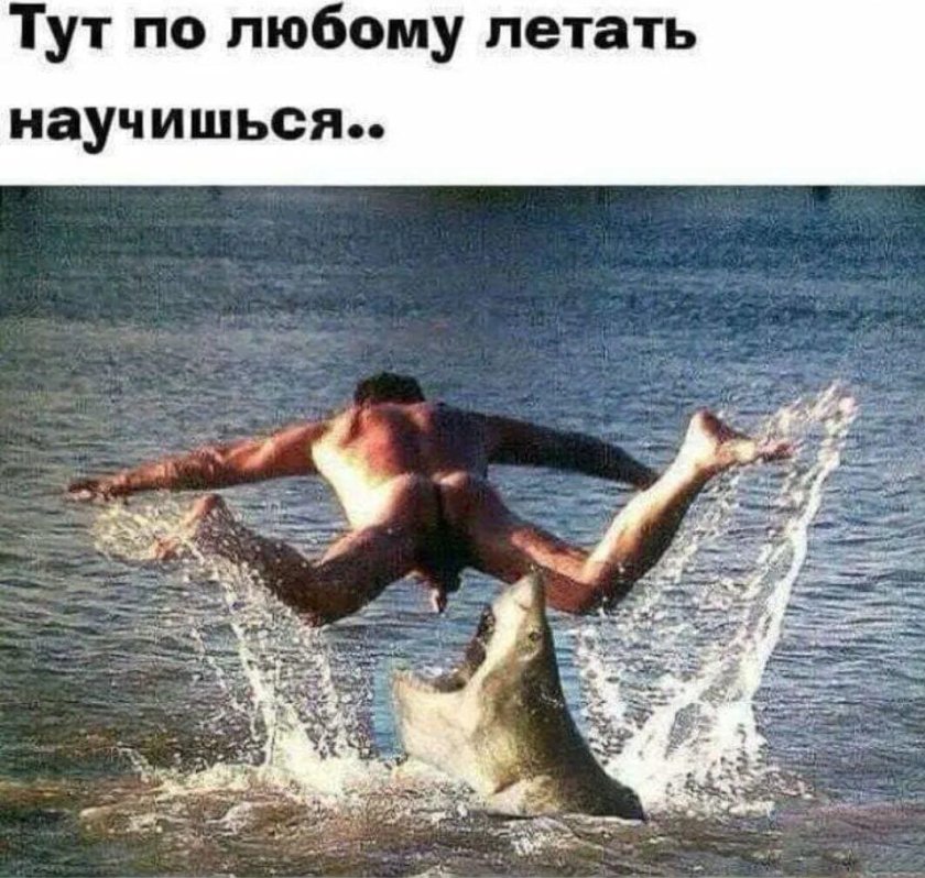 Смешные картинки с надписями