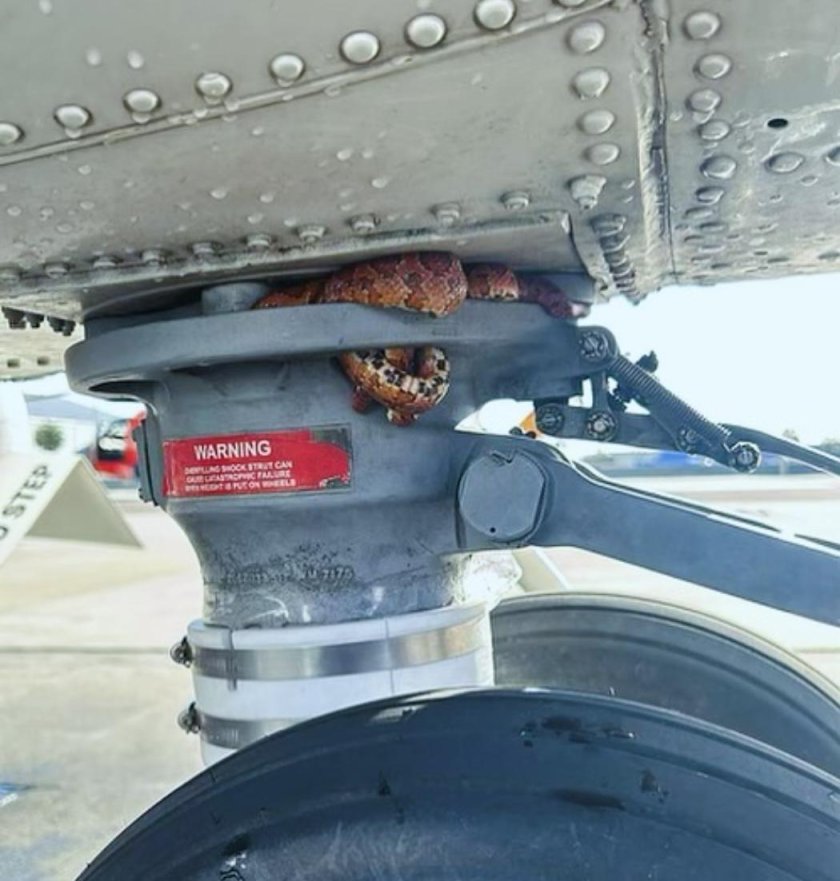 Шасси самолета