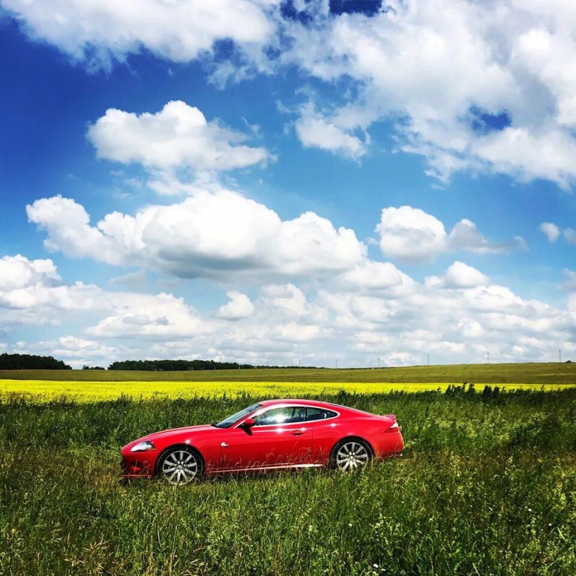 Машина в поле