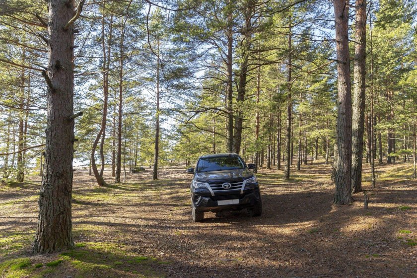 Автомобиль в лесу